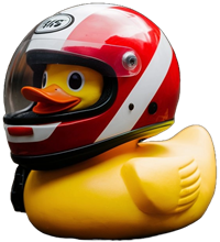 Alfred, the Ducati Dads duck mascot